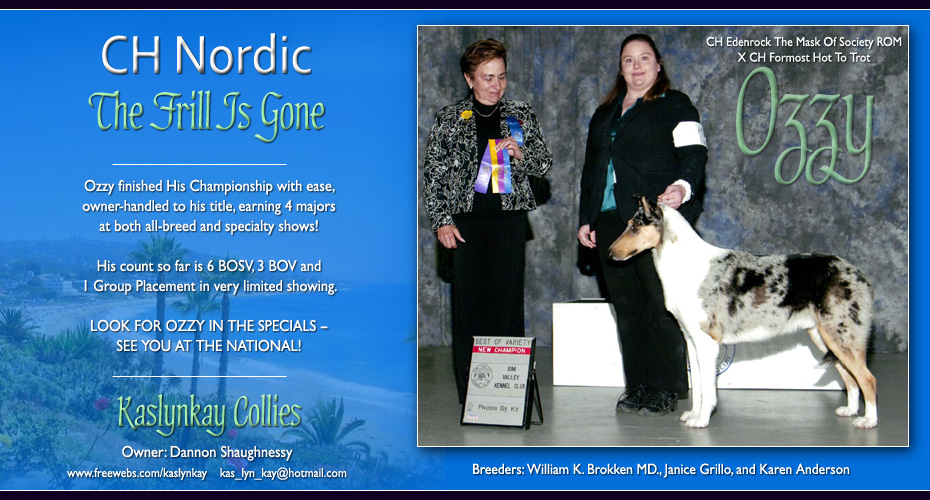 Kaslynkay Collie -- CH Nordic The Frill Is Gone