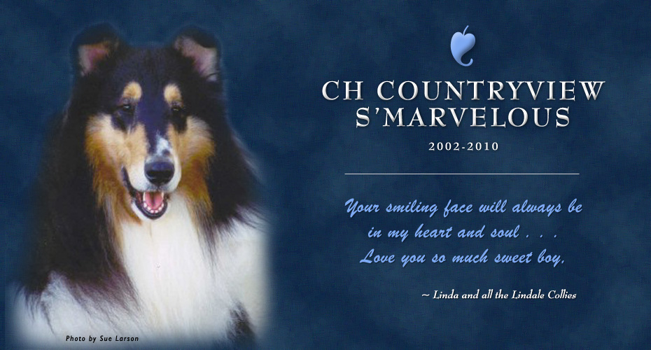 Lindale Collies -- In Loving Memory of CH Countryview S'Marvelous