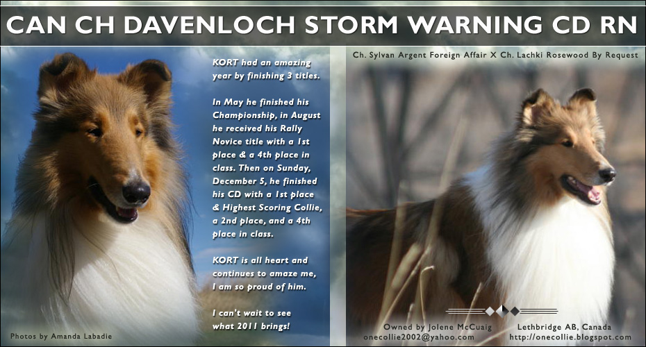 Jolene McCuaig -- CAN CH Davenloch's Storm Warning CD RN
