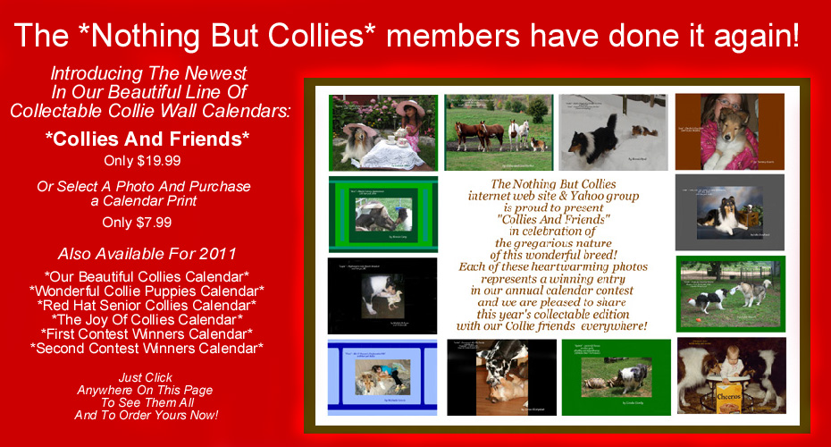 Nothing But Collies -- 2011 Collie Wall Calendars