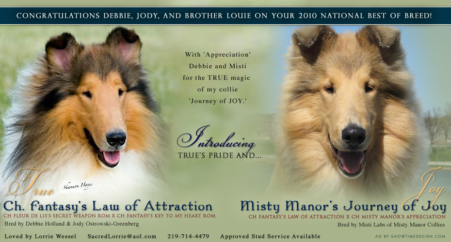 Sacred Collies -- CH Fantasy's Law Of Attraction and Misty Manor's Journey Of Joy