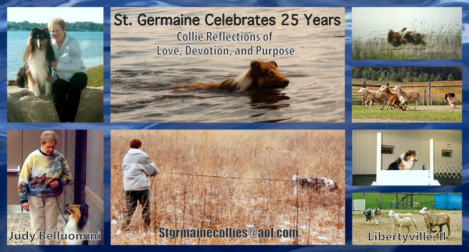 St Germaine Collies Celebrates 25 Years