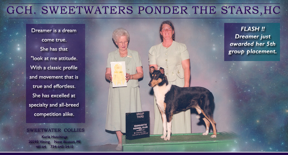 Sweetwater Collies -- GCH Sweetwaters Ponder The Stars, HC