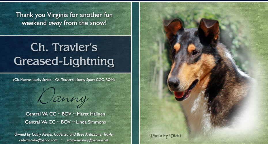 Travler Collies /Cadenza Collies -- CH Travler's Greased-Lightning