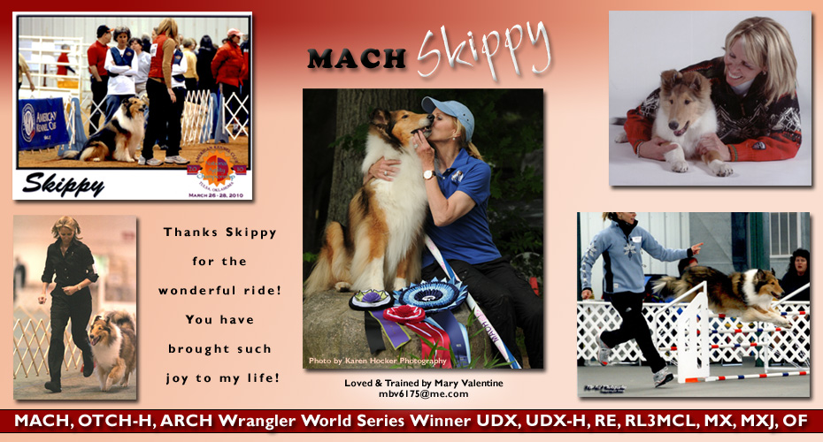 Mary Valentine -- MACH, OTCH-H, ARCH Wrangler World Series Winner UDX, UDX-H, RE, RL3MCL, MX, MXJ, OF