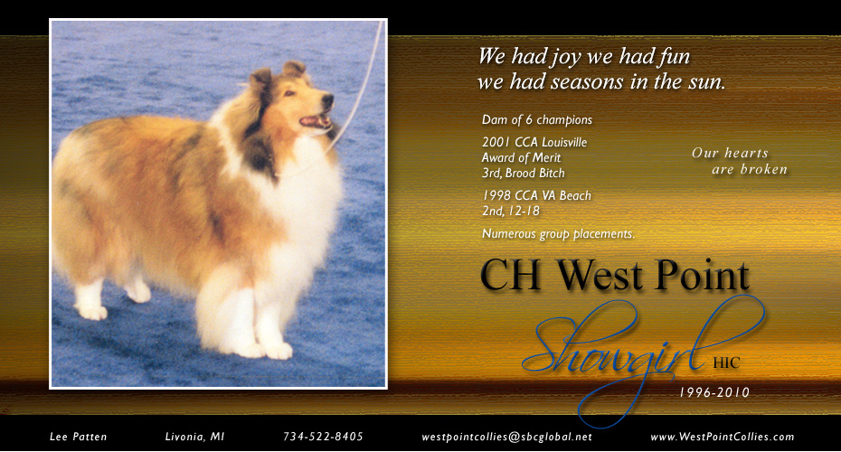 West Point Collies -- In loving memory of CH West Point Showgirl