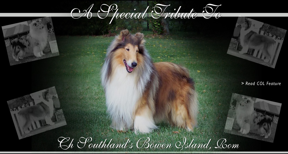 Collies Online -- Tribute to CH Southland's Bowen Island, ROM