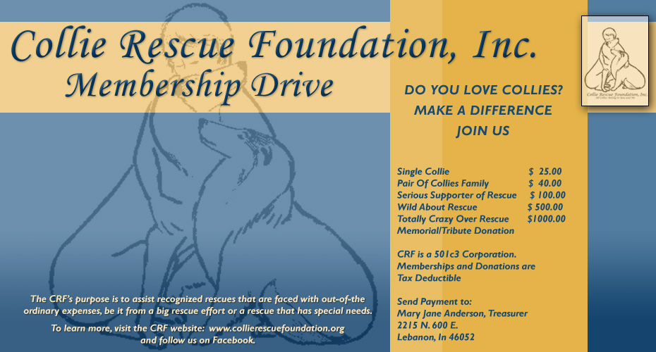 Collie Rescue Foundation -- Membership Drive