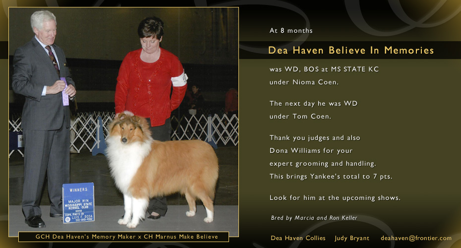 Dea Haven Collies -- Dea Haven Believe In Memories