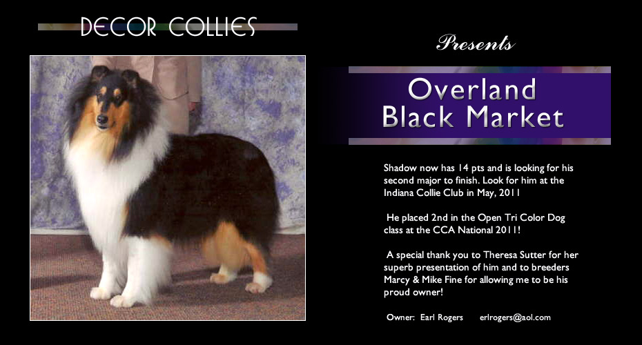 Decor Collies -- Overland Black Market