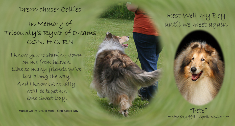 Dreamchaser Collies -- In Memory of Tricounty's Ryver Of Dreams CGN, HIC, RN