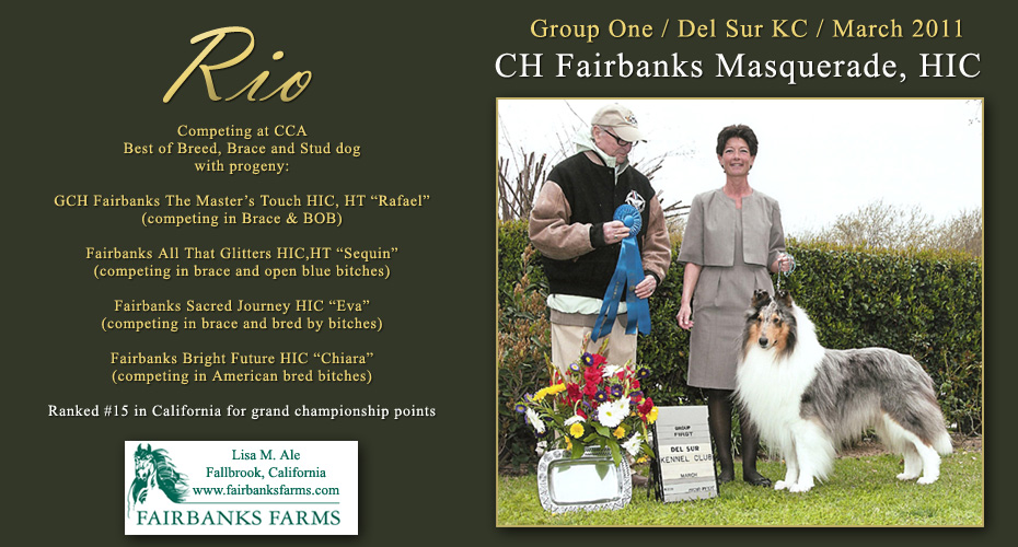 Fairbanks Farms -- CH Fairbanks Masquerade, HIC