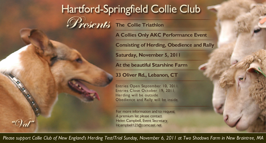 Hartford Springfield Collie Club -- 2011 Collie Triathlon -- A Collies Only Performance Event 