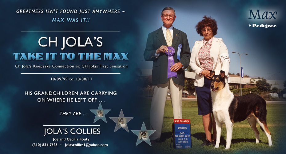 Jola's Collies -- In Loving Memory of CH Jola's Take It To The Max
