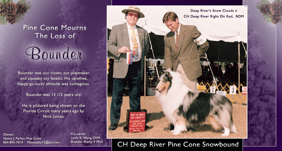 Pine Cone Collies -- In loving memory of CH Deep River Pine Cone Snowbound