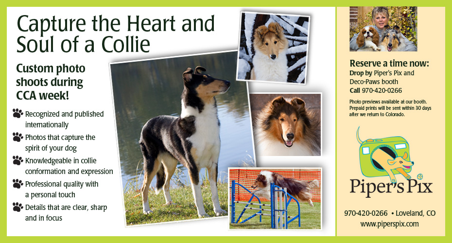 Piper's Pix -- Capture The Heart And Soul Of A Collie