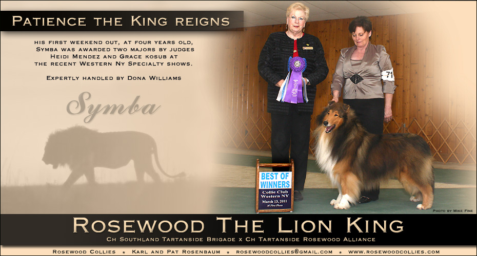 Rosewood Collies -- Rosewood The Lion King