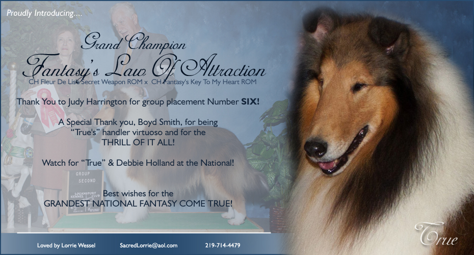 Sacred Collies -- GCH Fantasy's Law Of Attraction