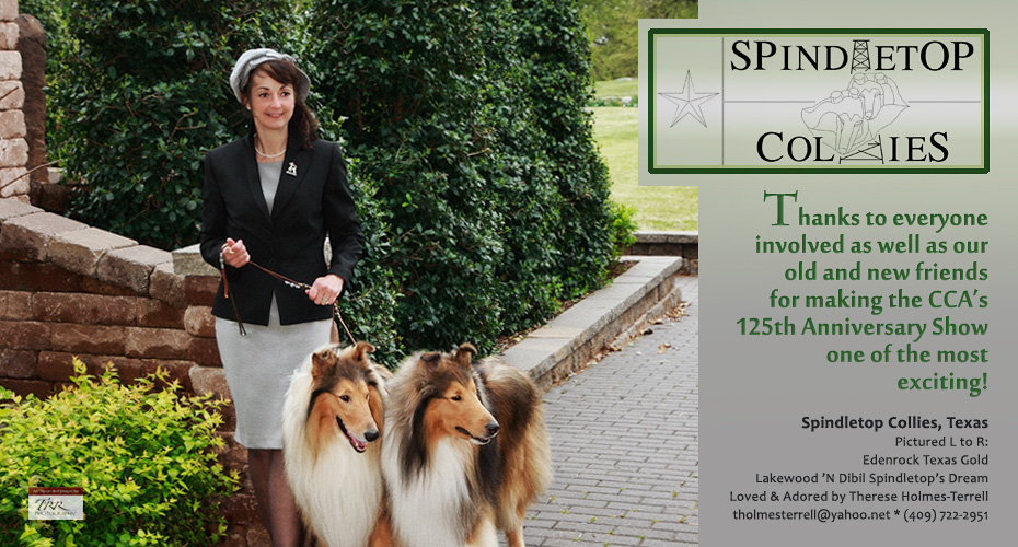 Spindletop Collies -- Edenrock Texas Gold and Lakewood 'N Dibil Spindletop's Dream