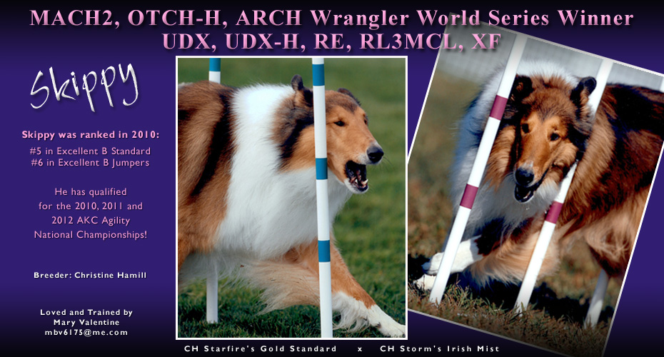 Mary Valentine -- MACH2, OTCH-H, ARCH Wrangler World Series Winner UDX, UDX-H, RE, RL3MCL, XF