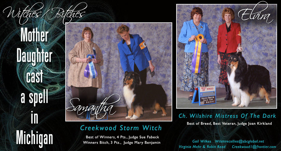 Wilshire Collies / Creekwood Collies -- CH Wilshire Mistress Of The Dark and Creekwood Storm Witch