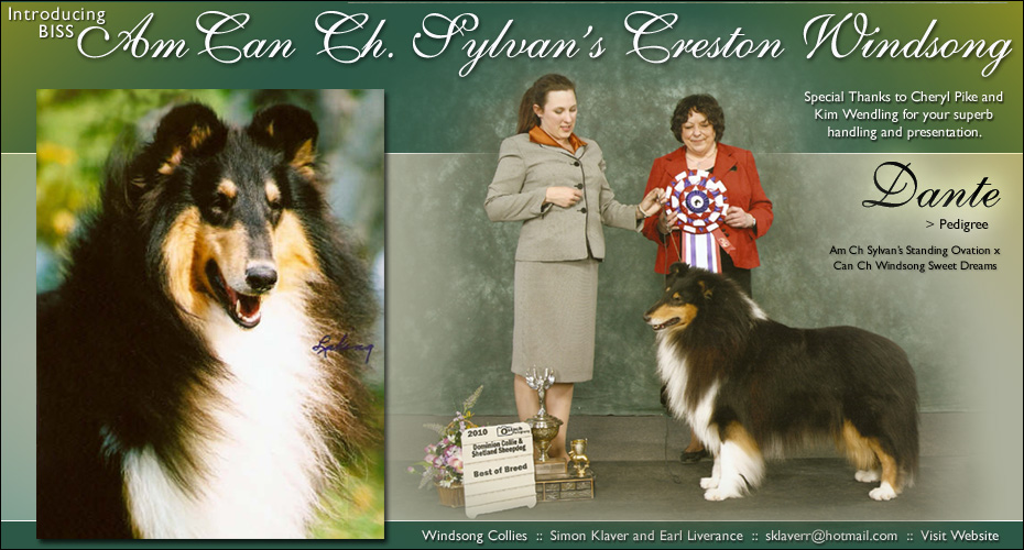 Windsong Collies -- AM/CAN CH Sylvan's Creston Windsong