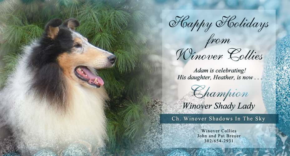 Winover Collies -- CH Winover Shadows In The Sky