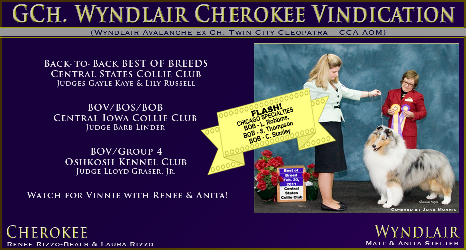 Cherokee Collies / Wyndlair Collies -- GCH Wyndlair Cherokee Vindication