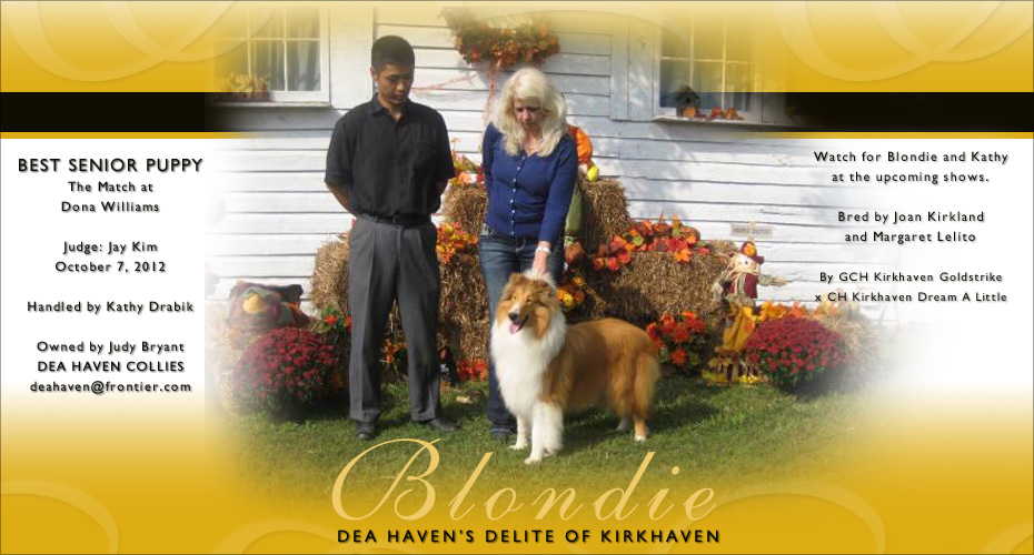 Dea Haven Collies -- Dea Haven's Delite Of Kirkhaven