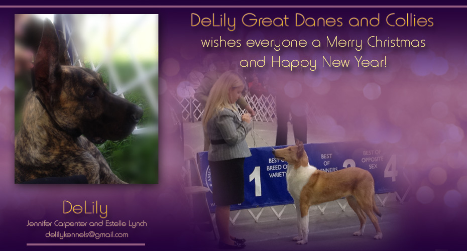 DeLily Great Danes and Collies