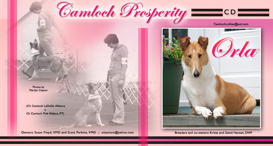 Susan Floyd DVM and Scott Perkins -- Camloch Prosperity