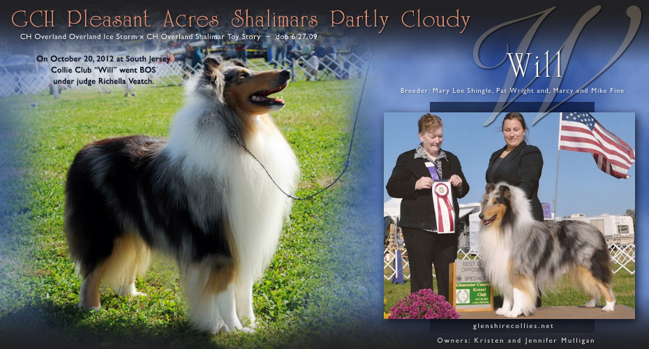 Glenshire Collies -- GCH Pleasant Acres Shalimars Partly Cloudy
