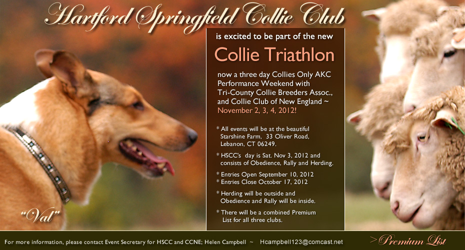 Hartford-Springfield Collie Club -- 2012 Collie Triathlon