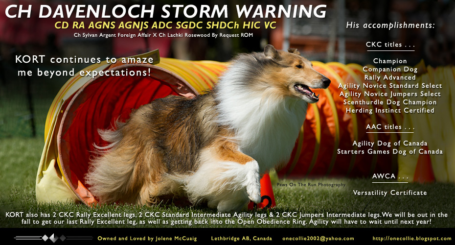 Jolene McCuaig -- CH Davenloch Storm Warning CD RA AGNS AGNJS ADC SGDC SHDCh HIC VC