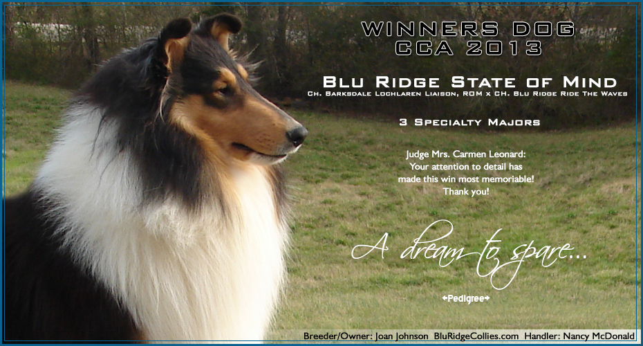 Blu Ridge Collies -- Blu Ridge State Of Mind