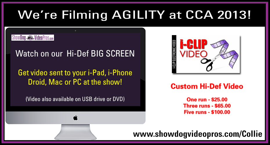 ShowDog VideoPros.com -- 2013 CCA Agility Video
