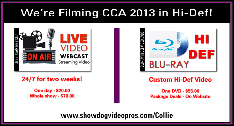 ShowDog VideoPros.com -- 2013 CCA Live Streaming Video 