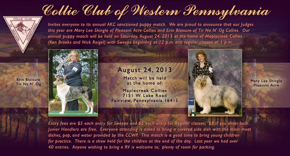 Collie Club of Western Pennsylvania -- 2013 AKC Sanctioned Puppy Match