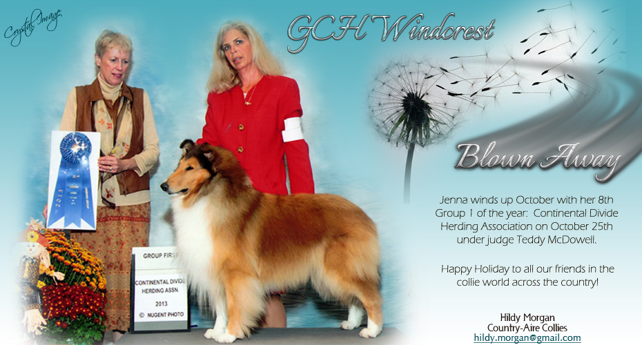 Country-Aire Collies -- GCH Windcrest Blown Away