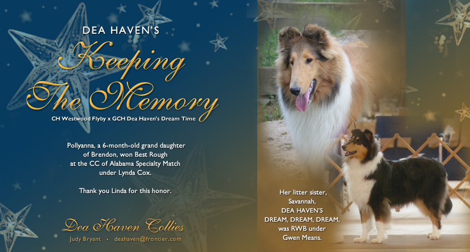 Dea Haven Collies --  Dea Haven's Keeping The Memory and Dea Haven's Dream, Dream, Dream