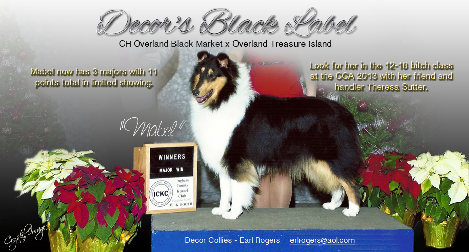 Decor Collies -- Decor's Black Label