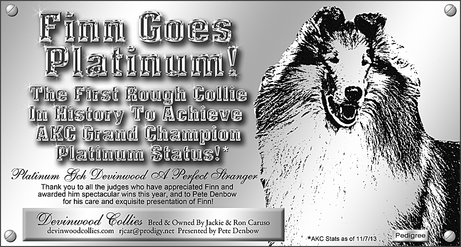Devinwood Collies -- Platinum GCH Devinwood A Perfect Stranger