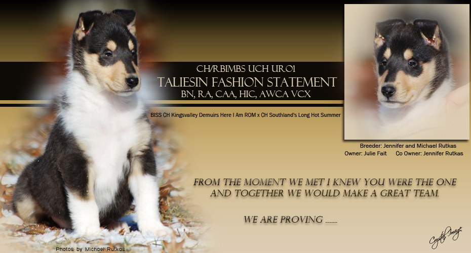 Julie Fait -- CH Taliesin Fashion Statement