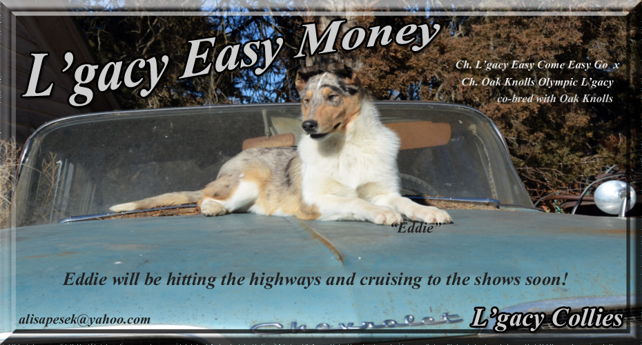 L'gacy Collies -- L'gacy Easy Money