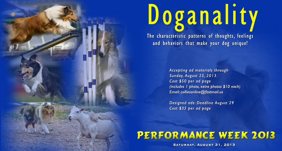 Performance Week 2013 -- When Doganility Shines Through