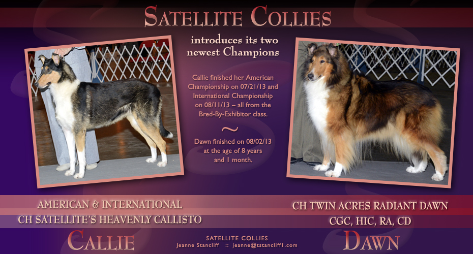 Satellite Collies -- AM/INT CH Satellite's Heavenly Callisto and CH Twin Acres Radiant Dawn CGC, HIC, RA, CD