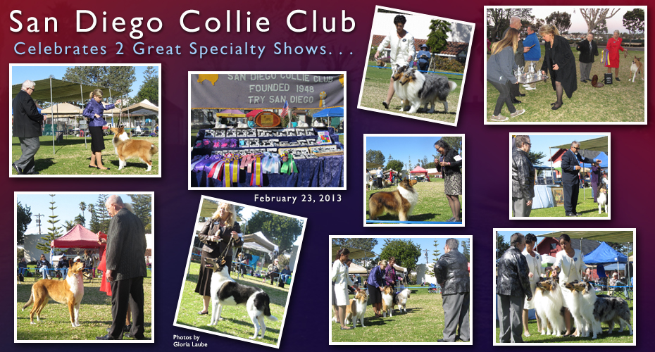 San Diego Collie Club -- Celebrates 2 Great Specialty Shows
