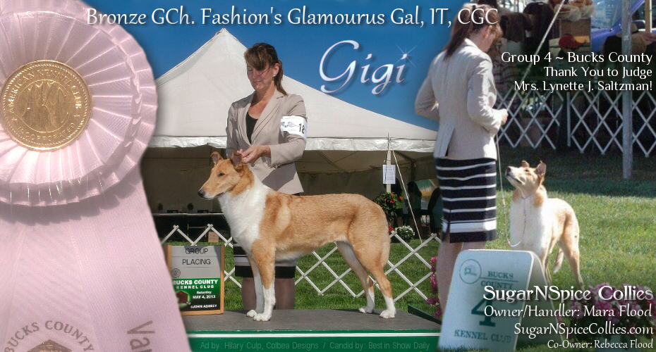 SugarNSpice Collies -- GCH Fashion's Glamourus Gal, IT, CGC