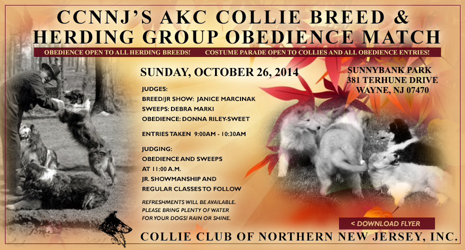 Collie Club of Northern New Jersey -- Collie Breed and Herding Group Obedience Match