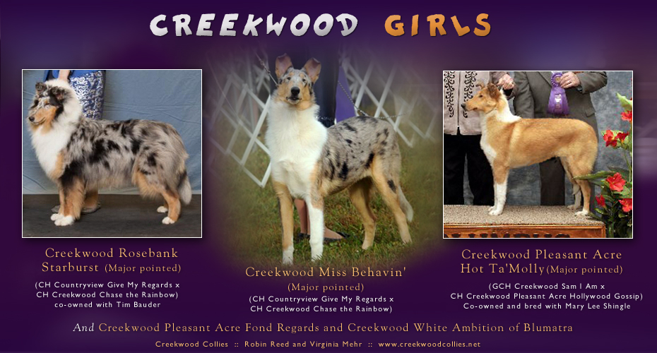 Creekwood Collies - Creekwood Rosebank Starburst, Creekwood Miss Behavin' and Creekwood Pleasant Acre Hot Ta'Molly